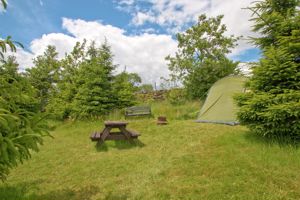 Photo 33- click for photo gallery